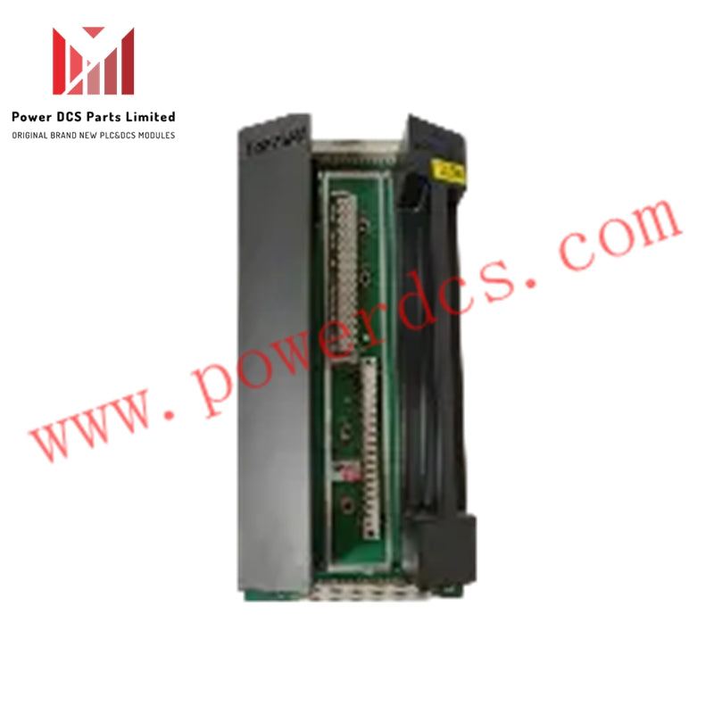 Triconex DO2401H 7400219-030 Digital Output Module