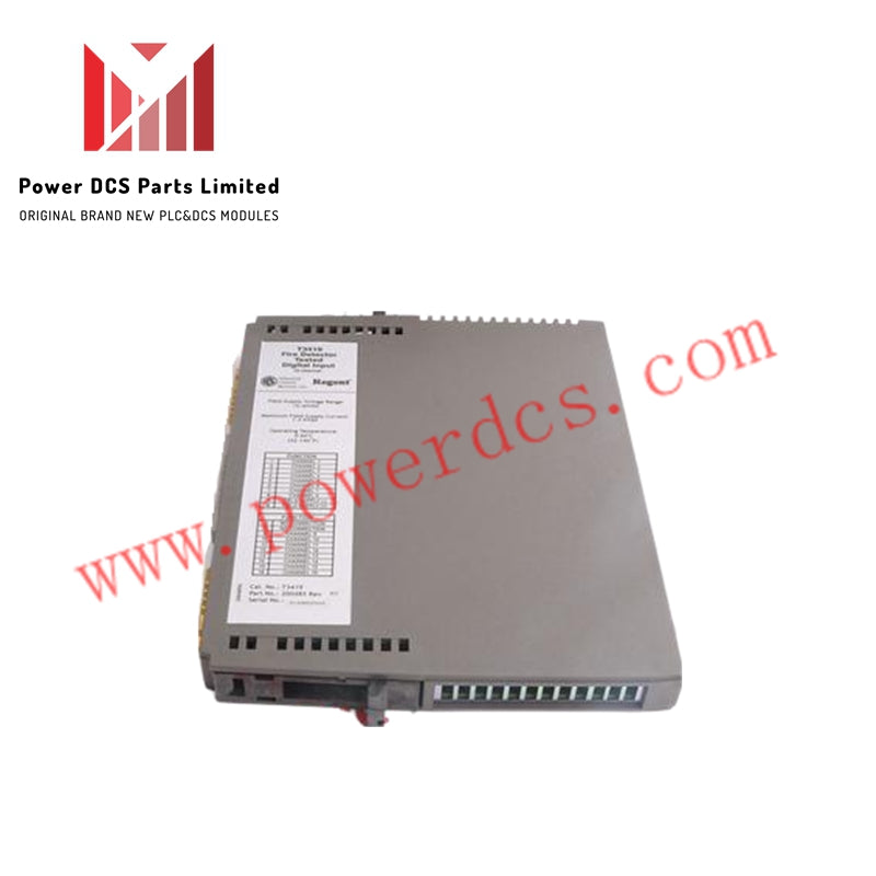 ICS Triplex T9482 Analogue Output Module