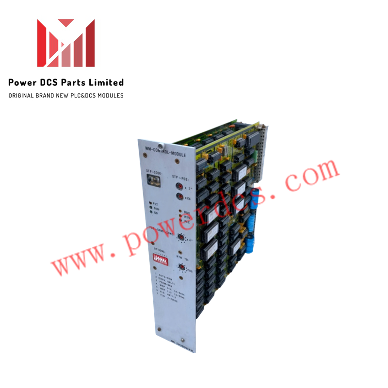 DORLIER WM-CONTROL-MODULE 389185 PLC Processor Module