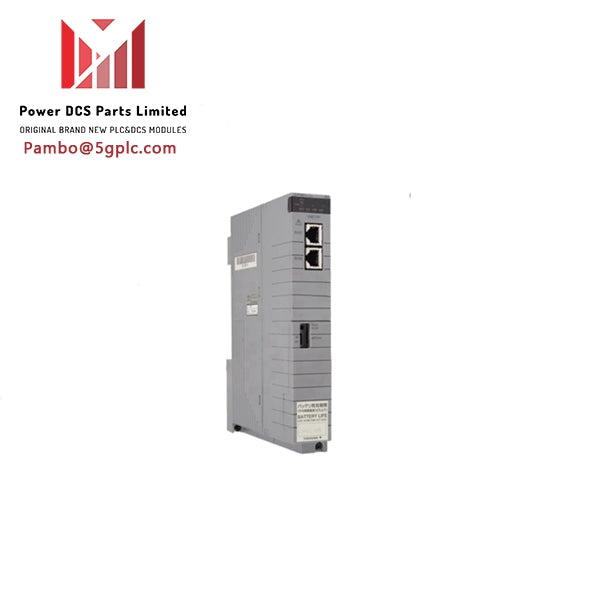 Yokogawa  RS4CCM-C11 Versatile Variable Area Flowmeter In Stock